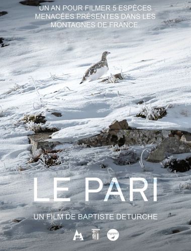 affiche_Le Pari (Ciné-rencontre)